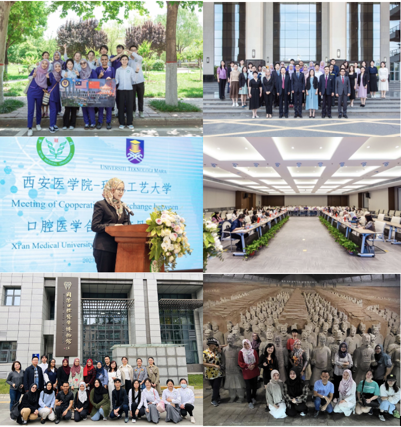 UiTM dentistry undergraduates head to Xi’an for summer camp